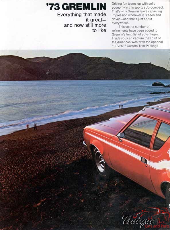 1973 American Motors Brochure Page 21